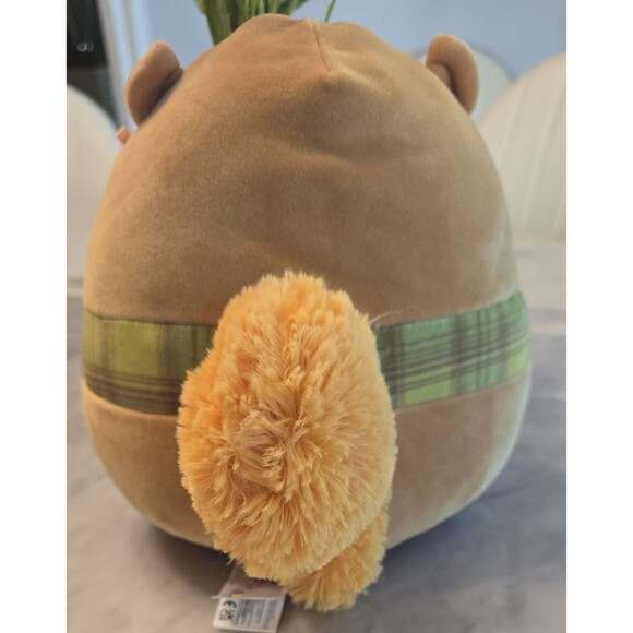 Squishmallows 8” Erin‎ the Squirrel with Fall Scarf Fall Harvest Plush Stuffed - Picture 3 of 5